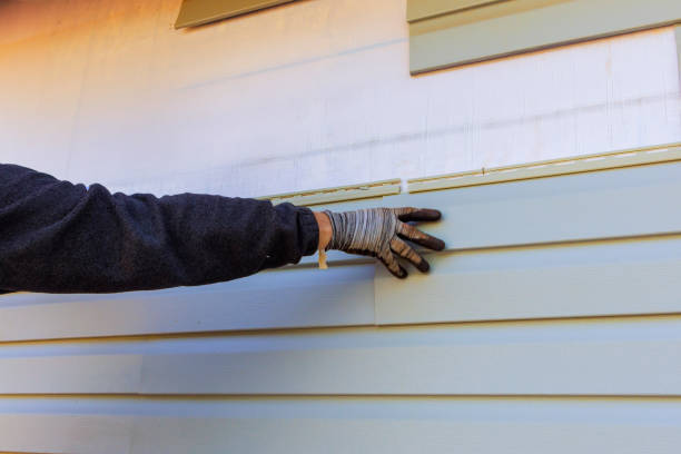 Affordable Siding Repair and Maintenance Services in Jasper, FL